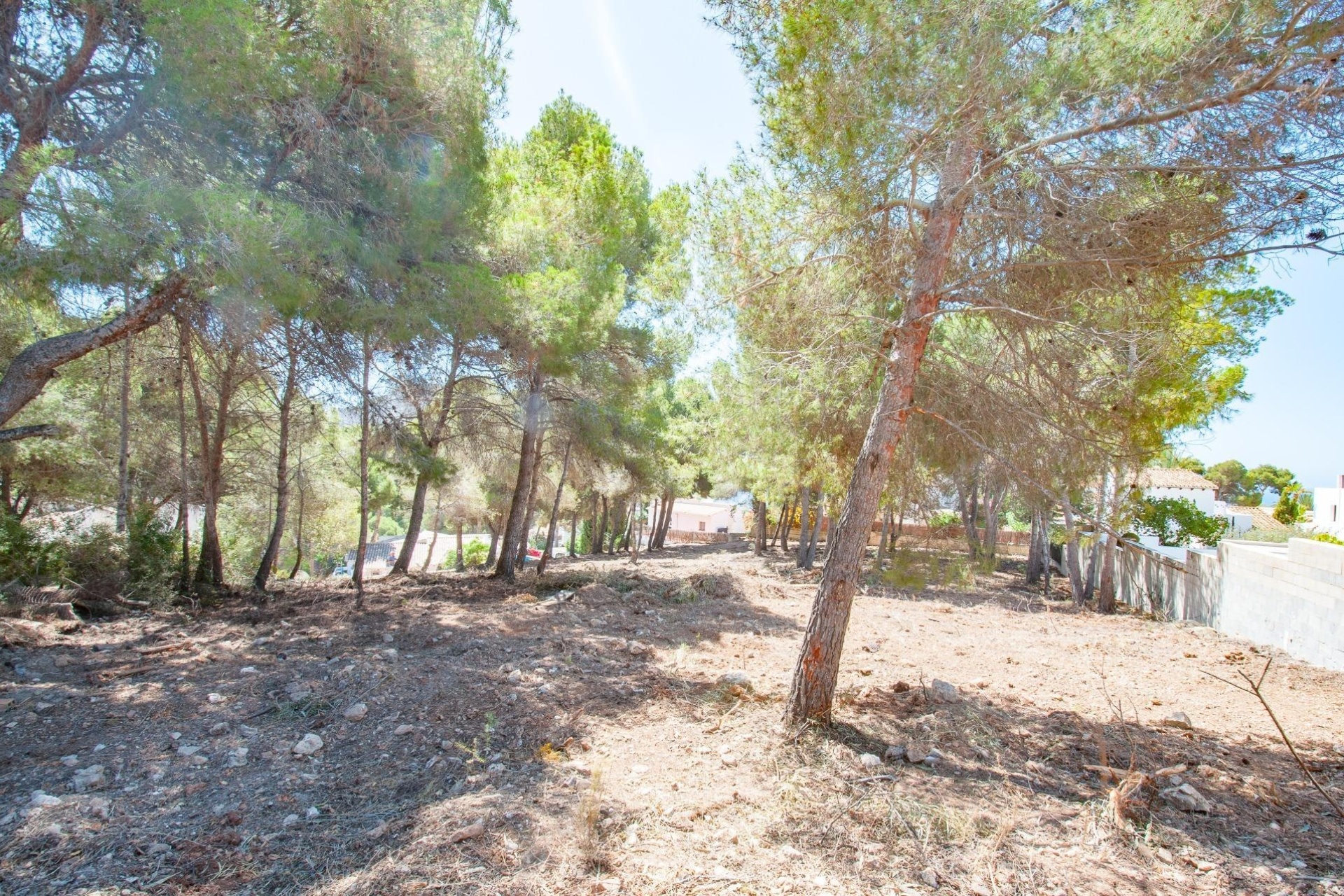 Alquiler a largo plazo - Parcelas y Terrenos - Moraira