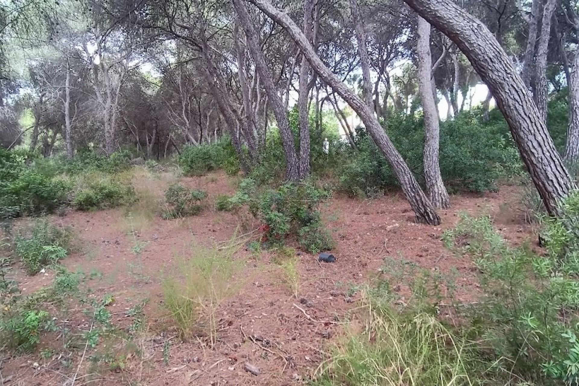 Bestaande woningen - Percelen - Moraira - La Cometa