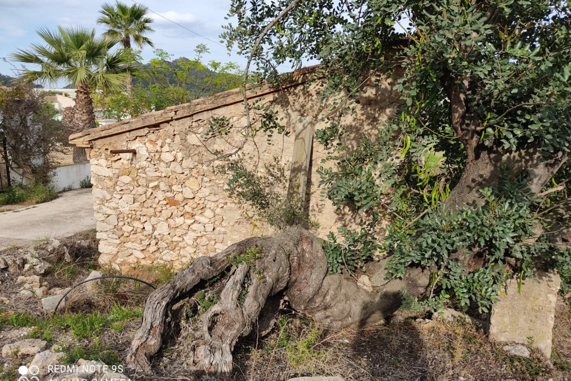 Bestaande woningen - Percelen - Murla