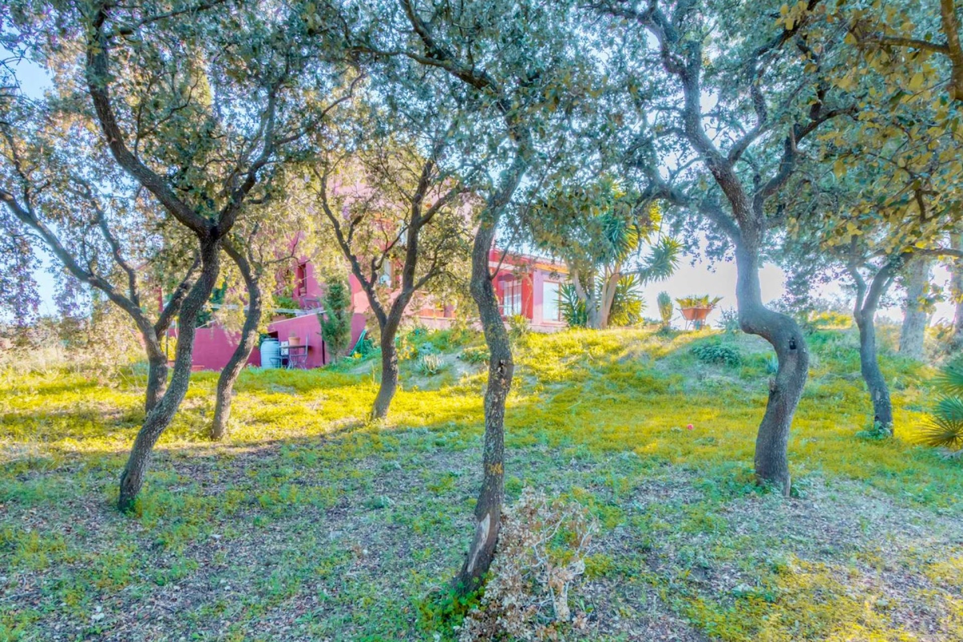 Bestaande woningen - Landhuizen - Fincas - Benissa - Canor