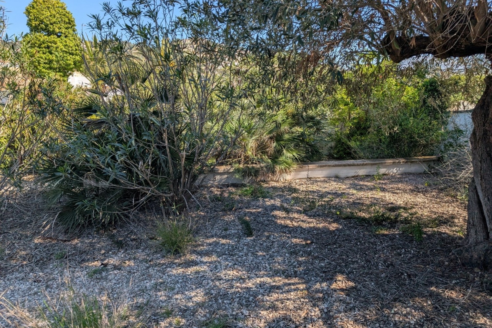 Bestaande woningen - Percelen - Benissa - Buenavista