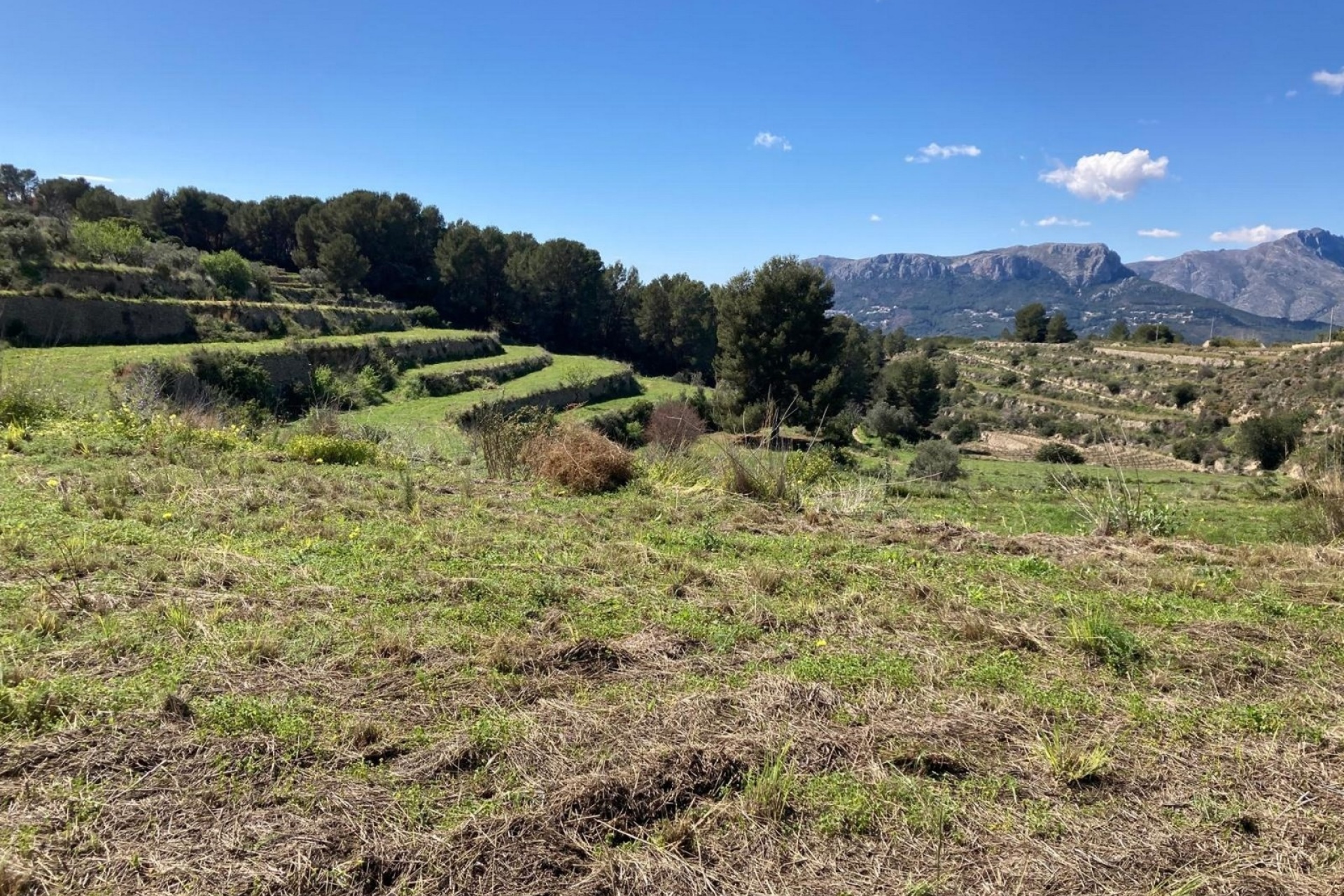 Bestaande woningen - Percelen - Benissa - Partida Biasner