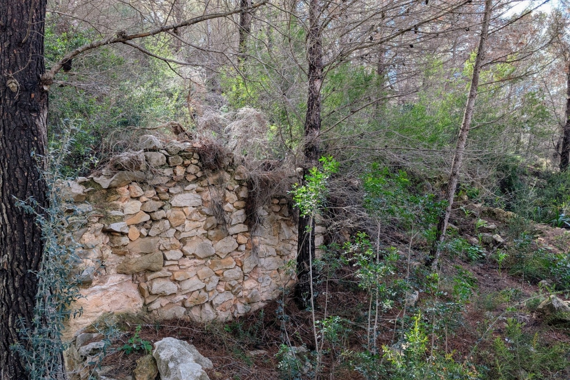 Bestaande woningen - Percelen - Benissa - Partida Biasner