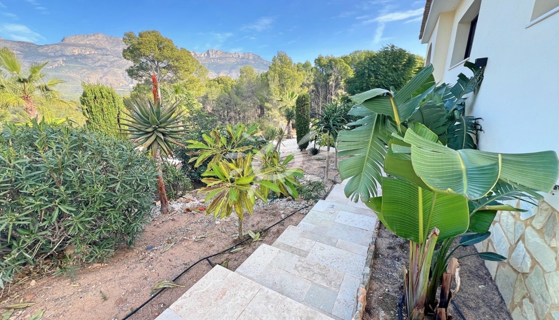 Bestaande woningen - Villas - Altea - Altea ciudad