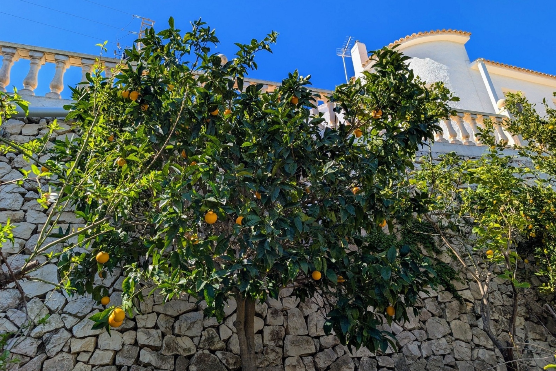 Bestaande woningen - Villas - Benissa - Fanadix