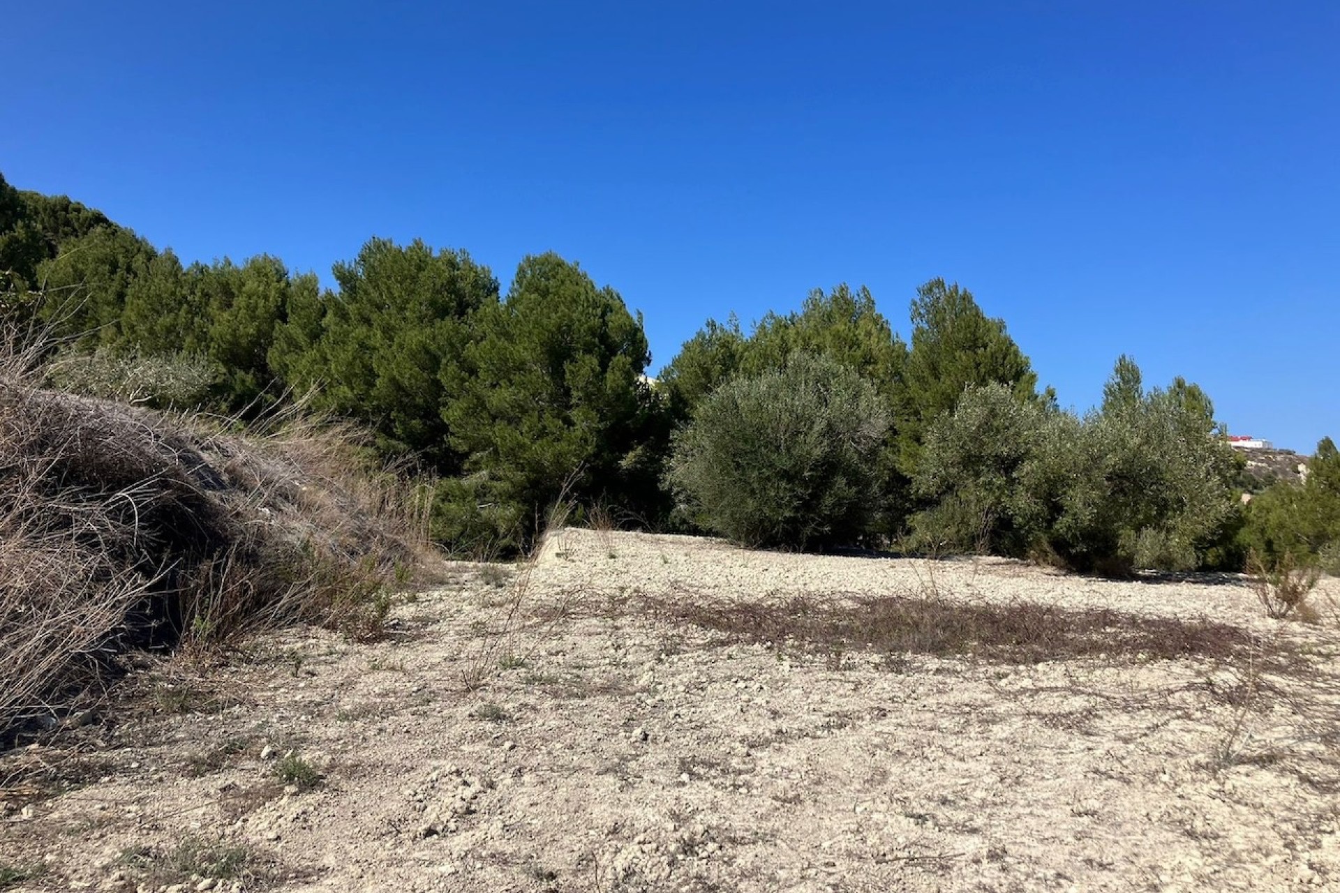 Bestaande woningen - Percelen - Benissa