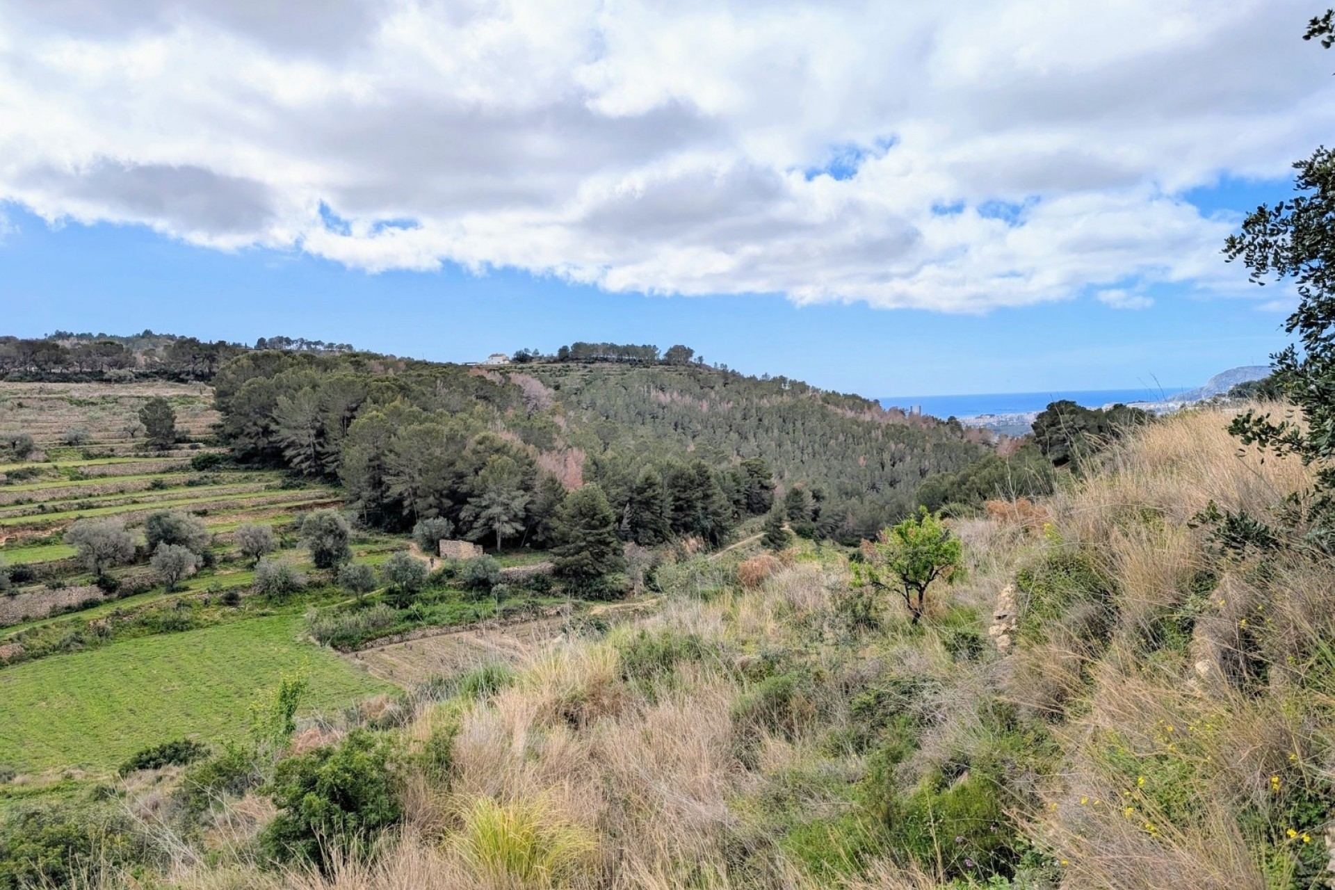 Bestaande woningen - Percelen - Benissa - Partida Biasner