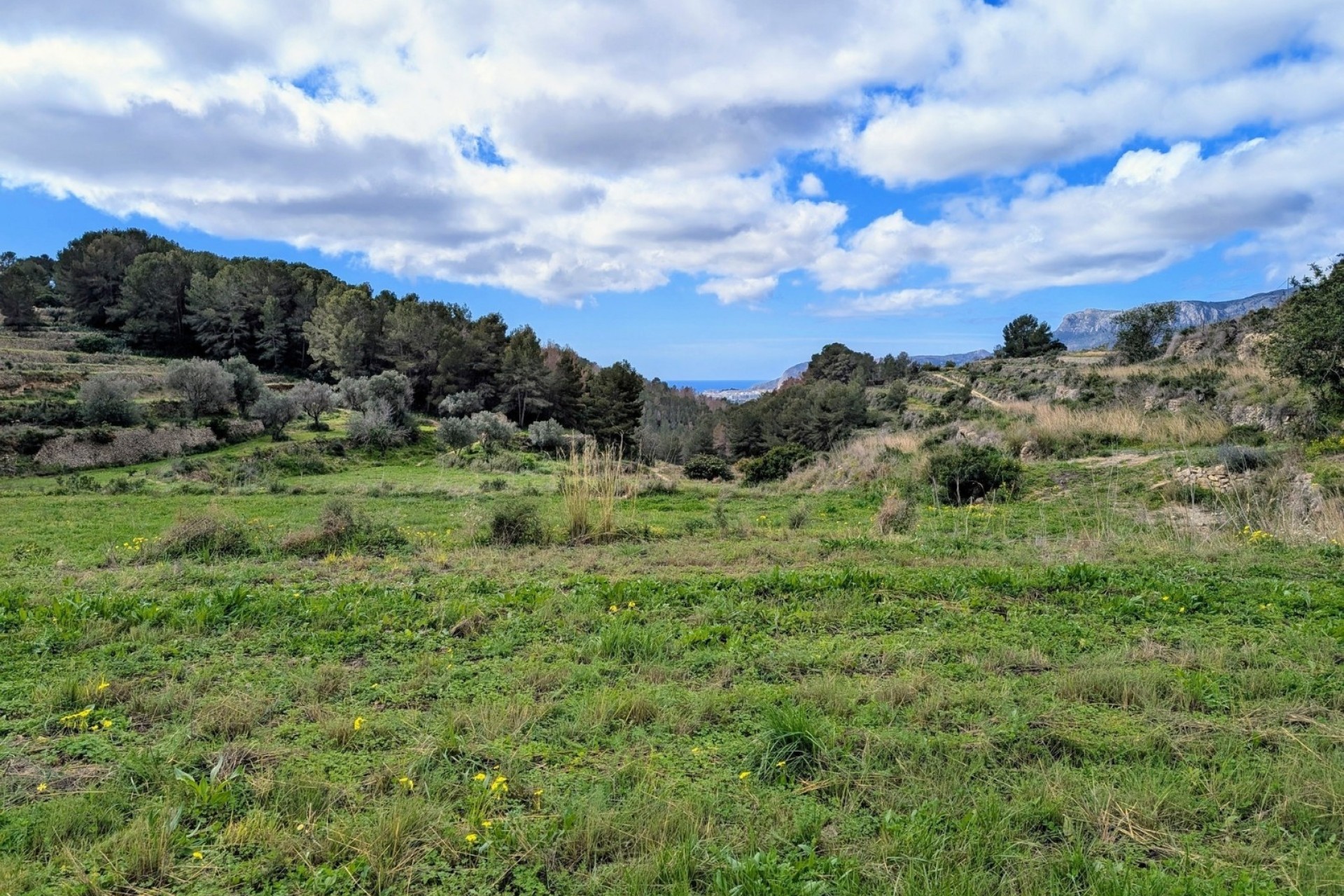 Bestaande woningen - Percelen - Benissa - Partida Biasner