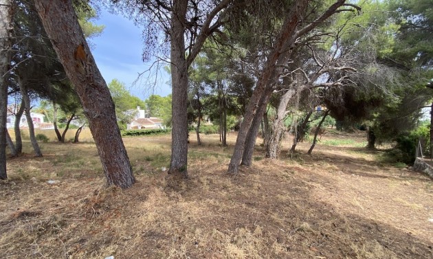 Grundstücke und Bauland - Liegenschaften - Javea - Javea