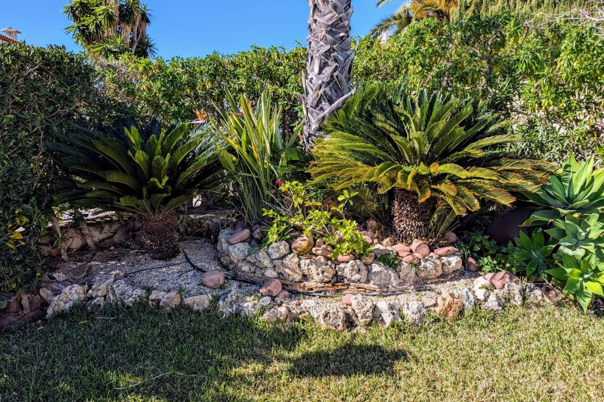 Lange termijn verhuur - Villas - Moraira - Solpark