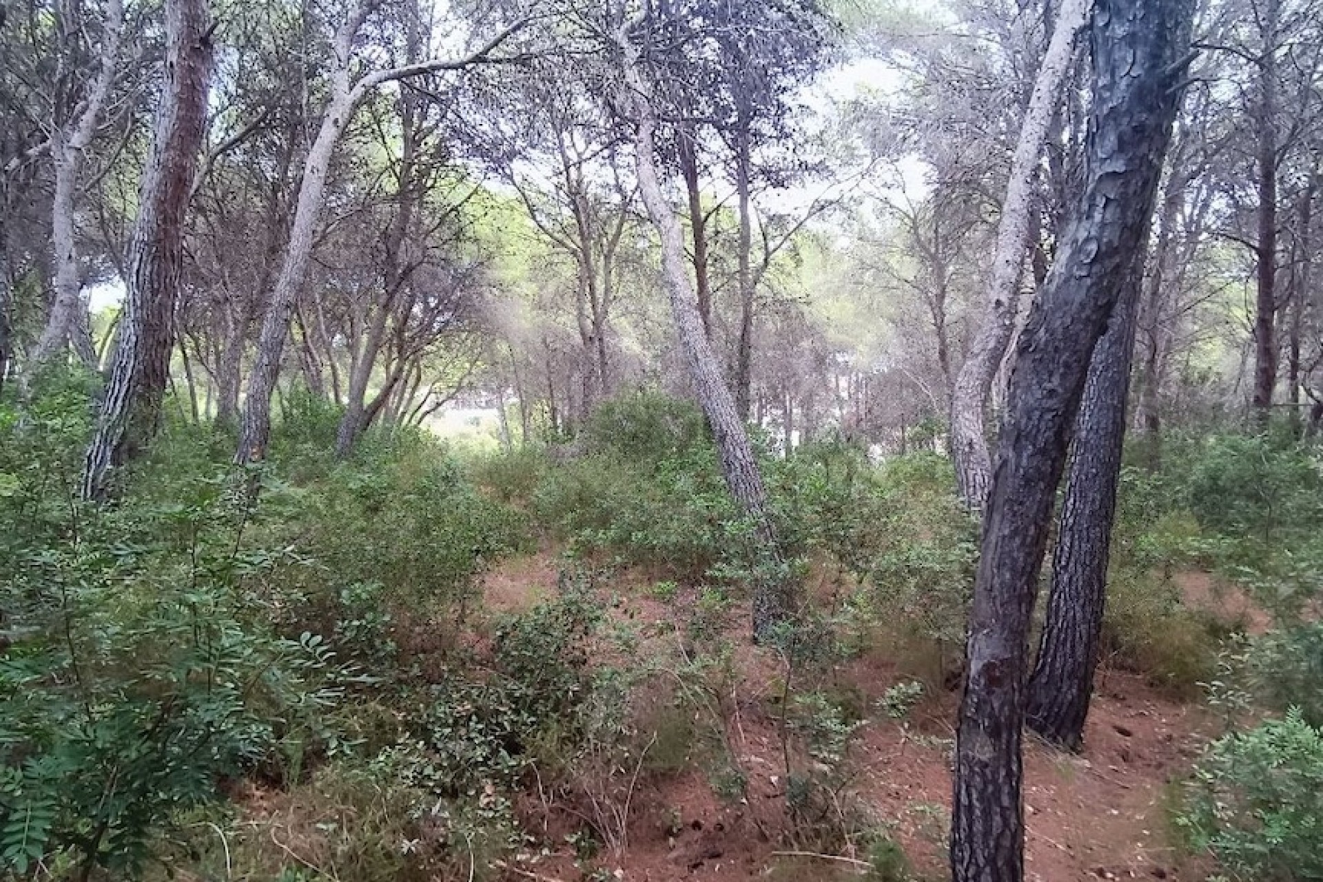 Liegenschaften - Grundstücke und Bauland - Moraira - La Cometa