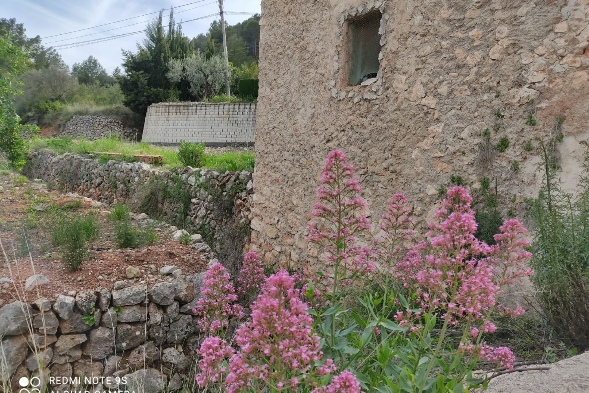 Liegenschaften - Grundstücke und Bauland - Murla