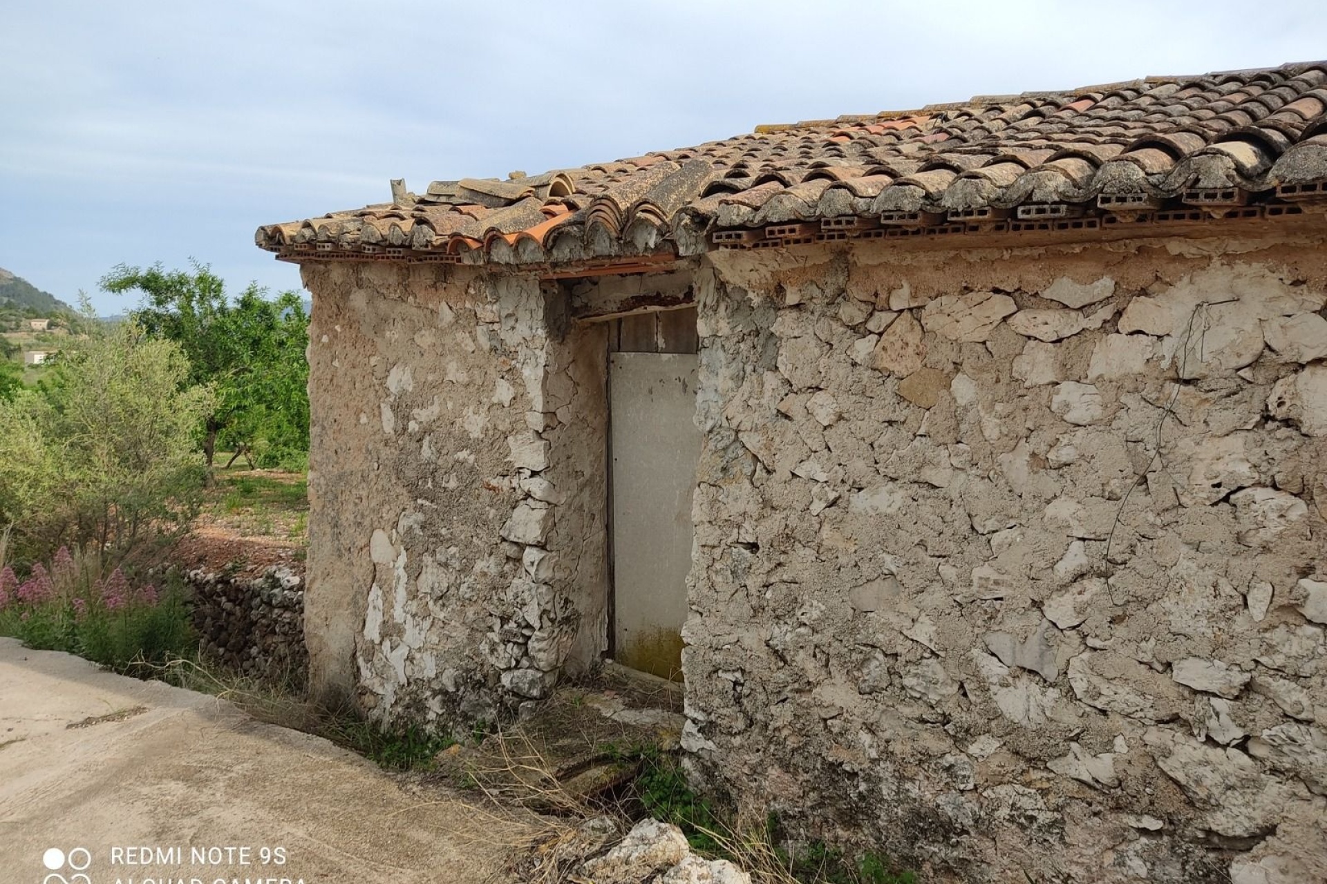 Liegenschaften - Grundstücke und Bauland - Murla