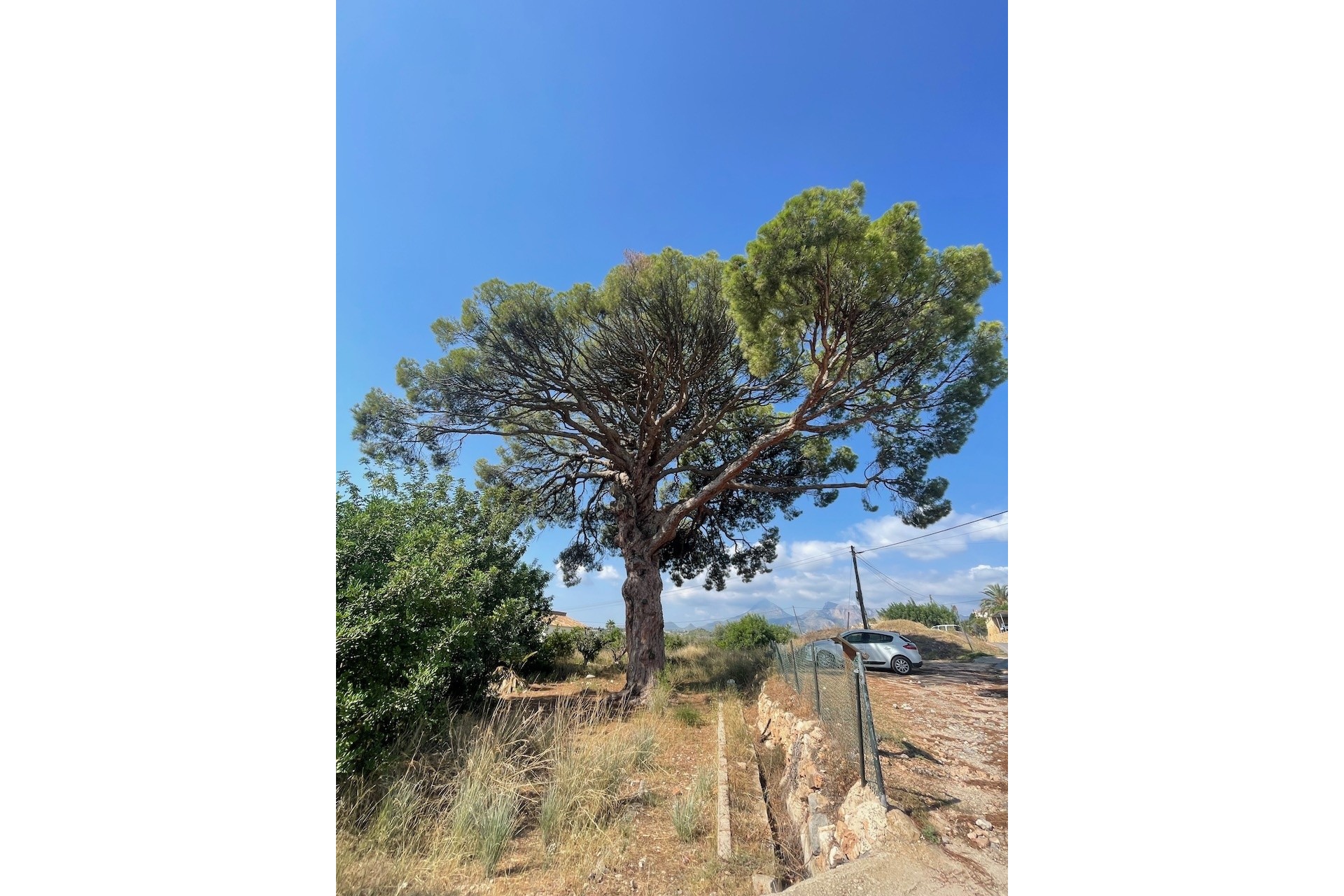 Liegenschaften - Grundstücke und Bauland - Altea