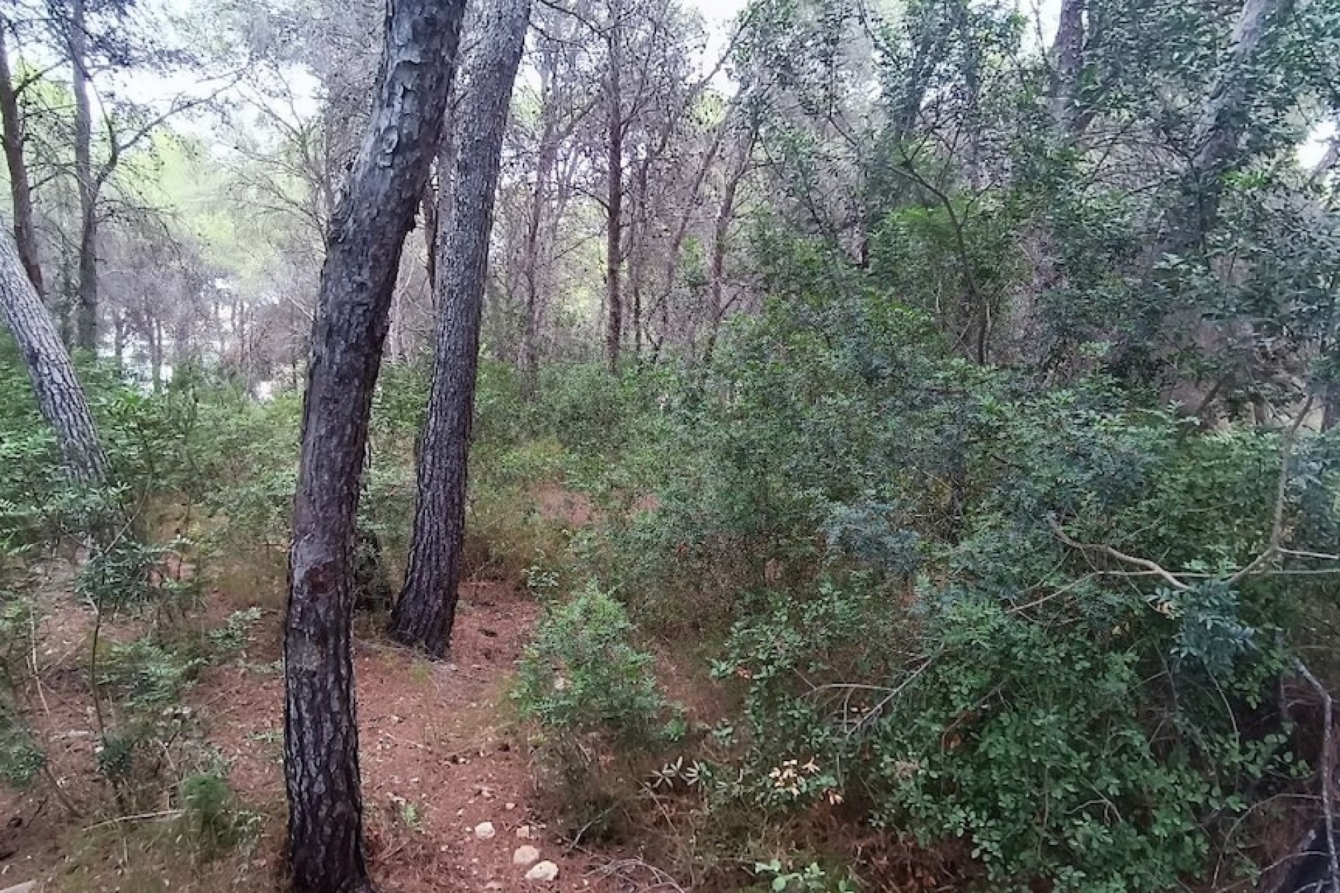 Liegenschaften - Grundstücke und Bauland - Moraira - La Cometa