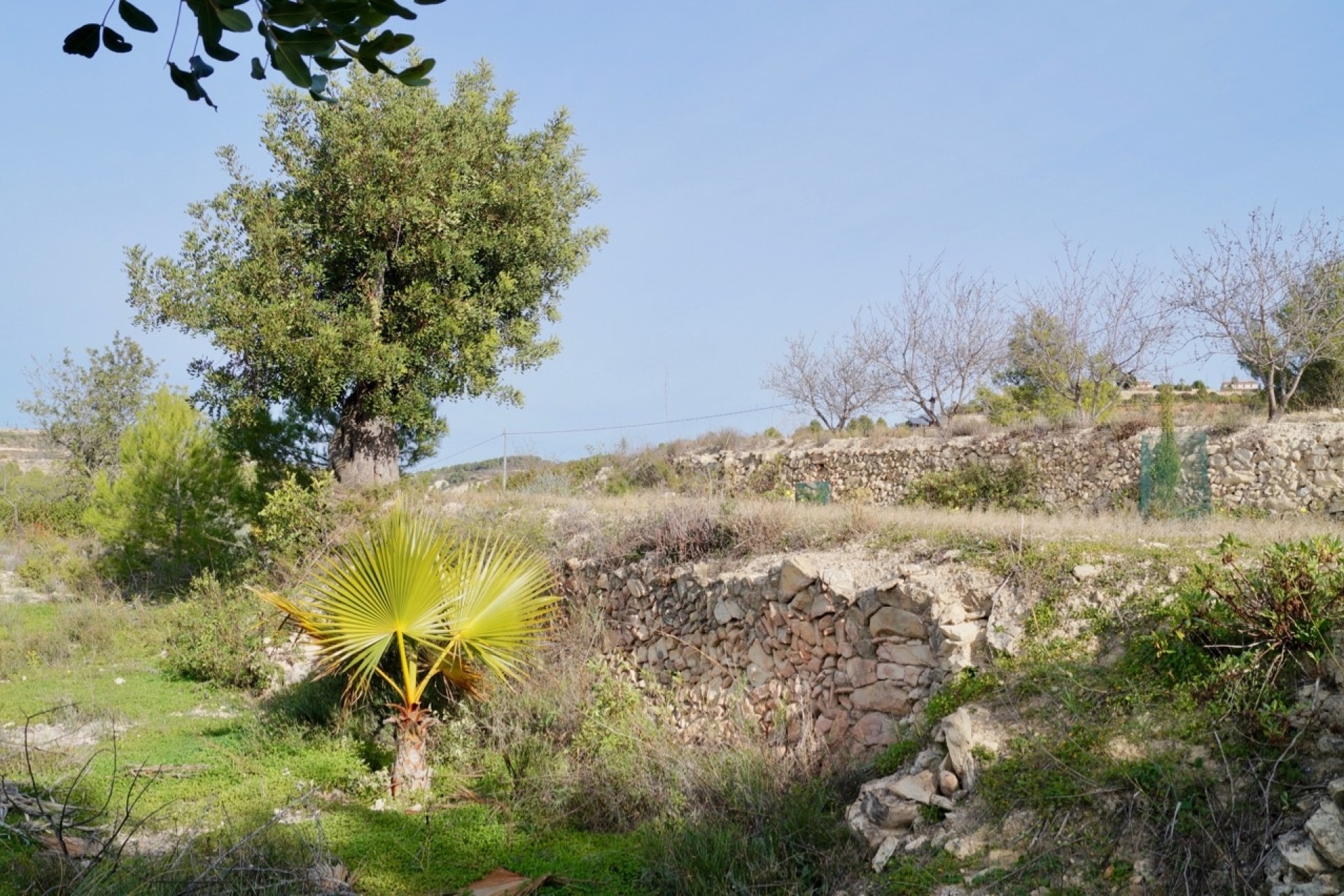 Liegenschaften - Landhaeuser - Fincas - Benissa - Partida Llenes