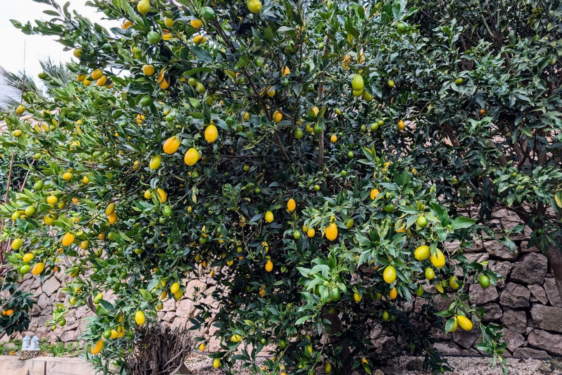 Liegenschaften - Villen - Benissa - Fanadix