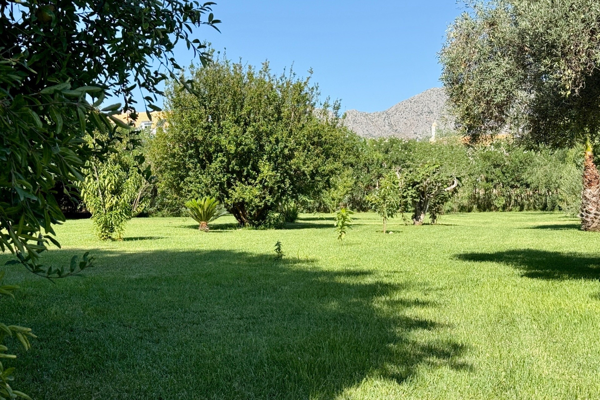 Liegenschaften - Villen - Denia