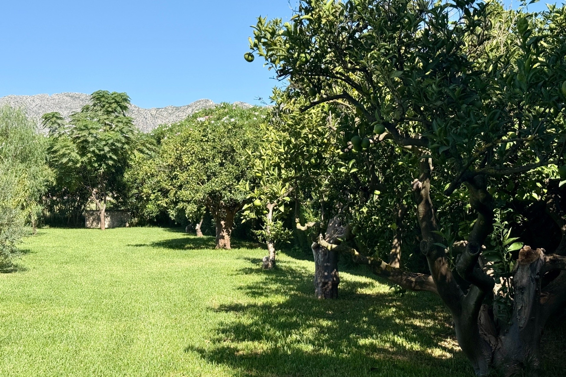 Liegenschaften - Villen - Denia