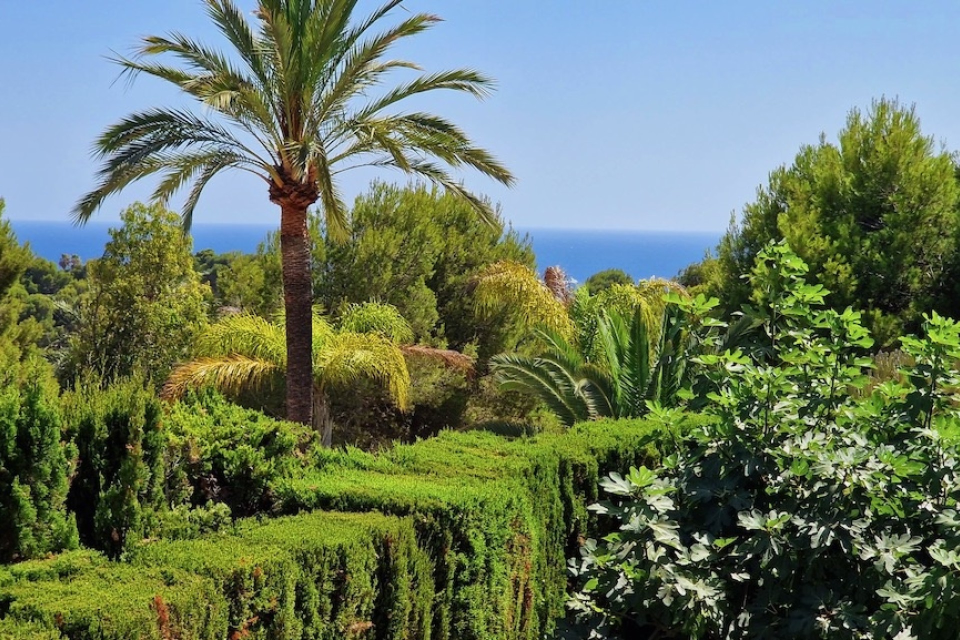 Liegenschaften - Villen - Moraira - Costera del Mar