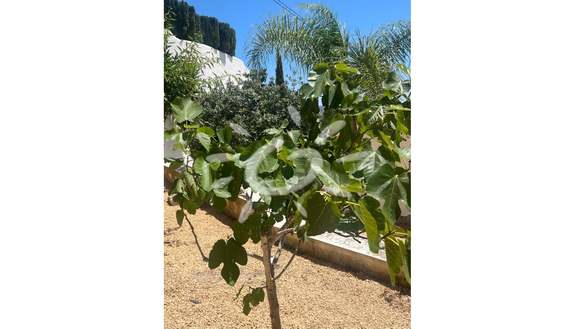 Liegenschaften - Villen - Moraira - Pinar del Advocat - Cometa