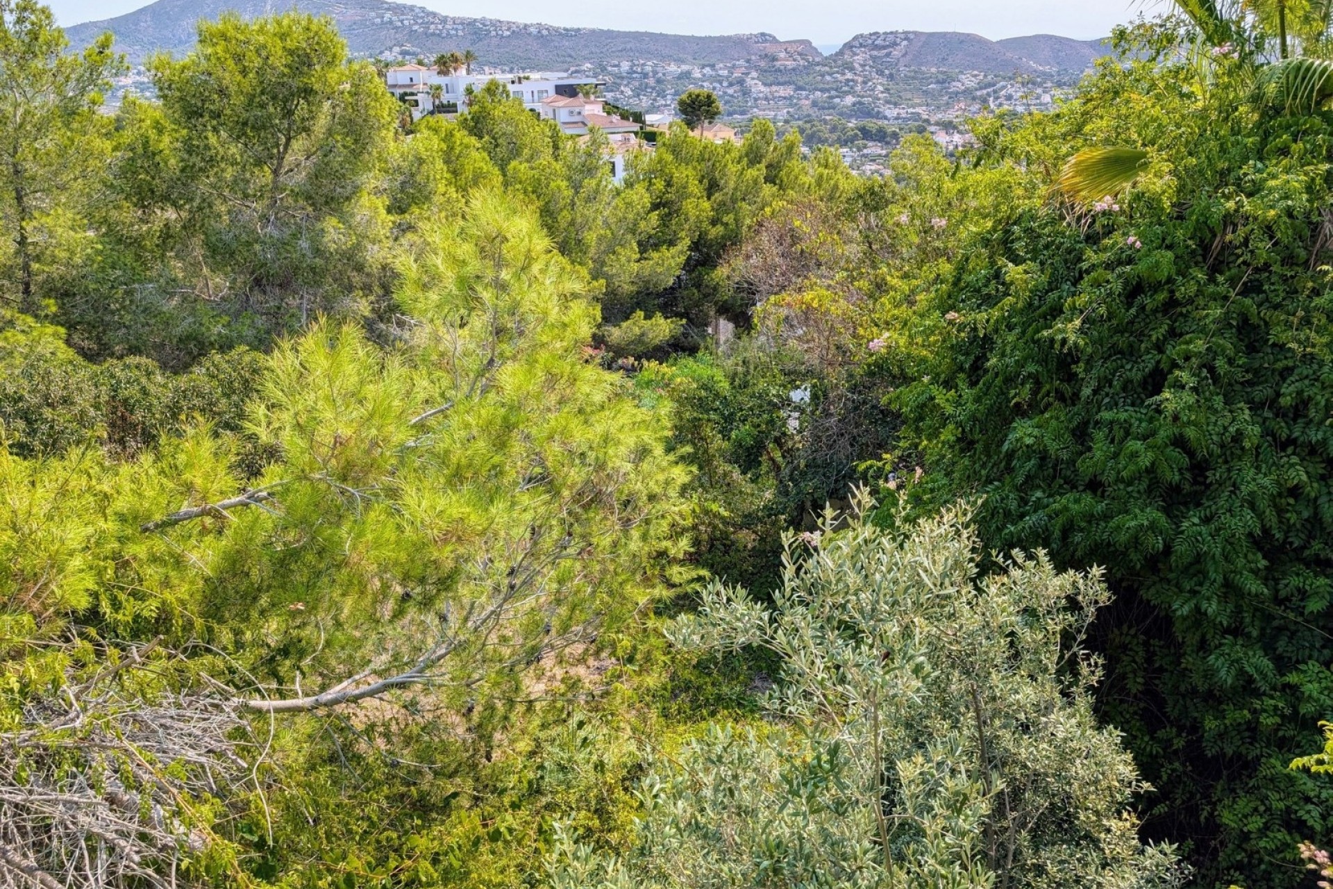 Liegenschaften - Villen - Moraira - Benimeit