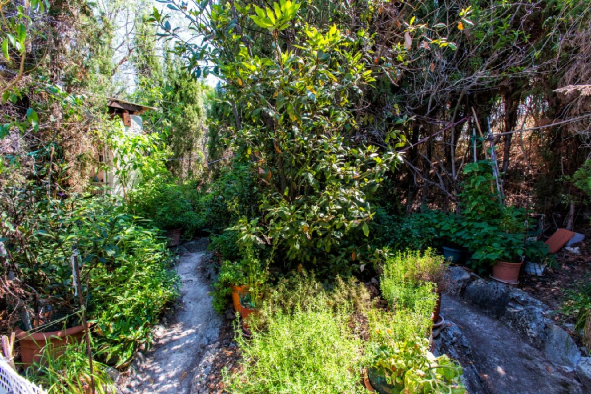 Location à long terme - Villas - Calpe - La Cometa