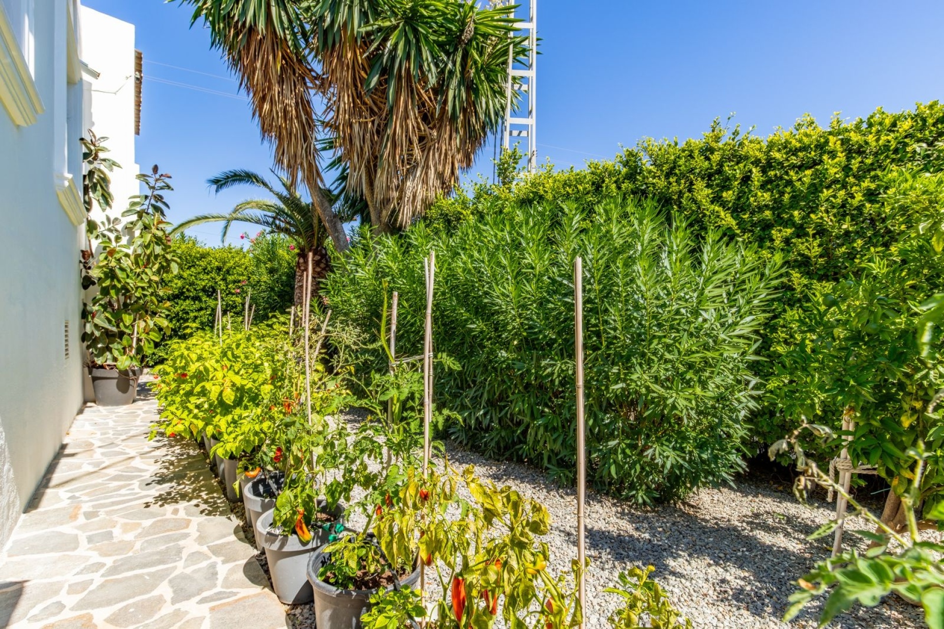 Location à long terme - Villas - Moraira - Baladrar