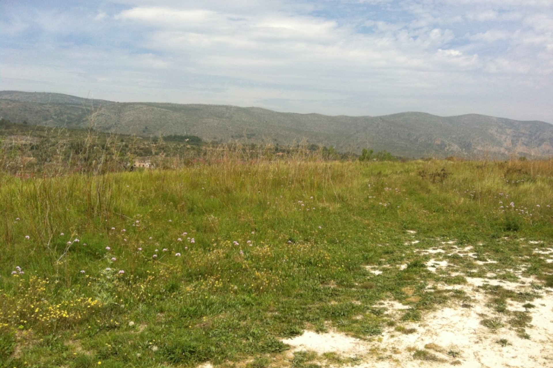 Long term Rentals - Plots of Land - Benissa - Partida Berdica