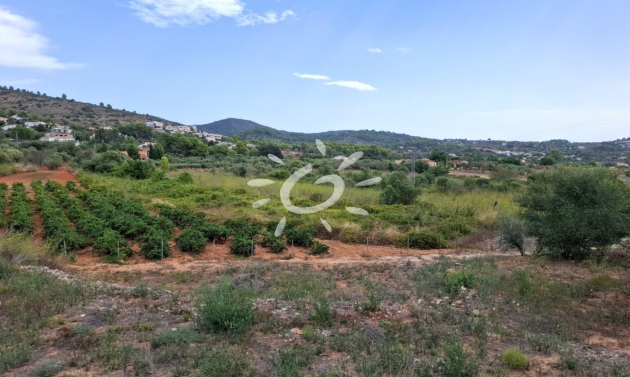 Plots of Land - Resales - Senija - Senija