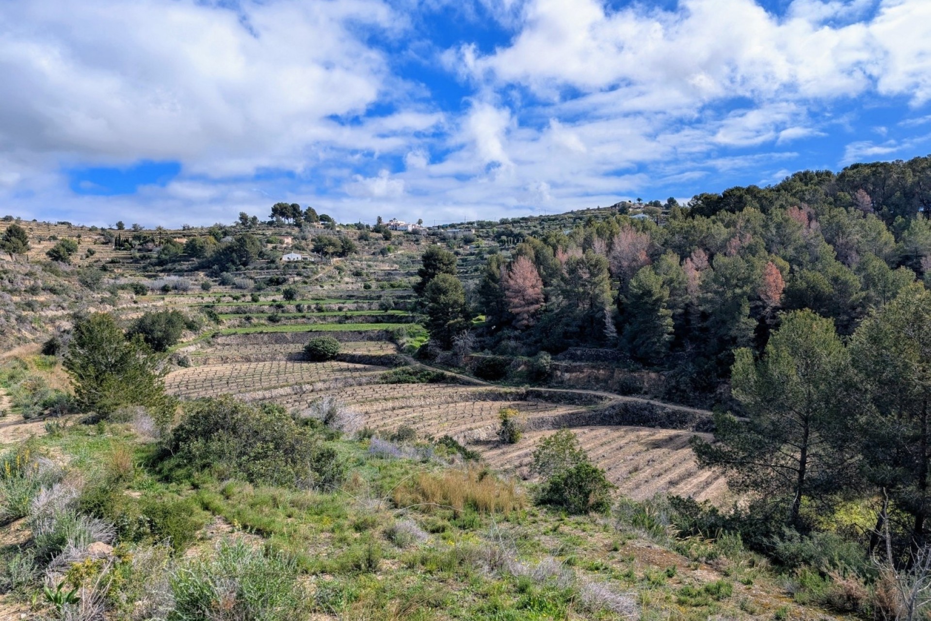 Resales - Plots of Land - Benissa - Partida Biasner