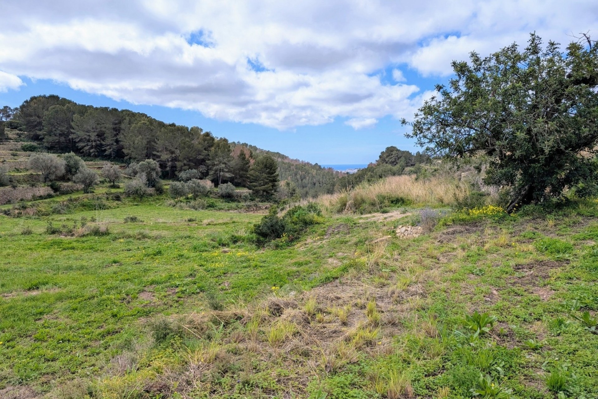 Resales - Plots of Land - Benissa - Partida Biasner