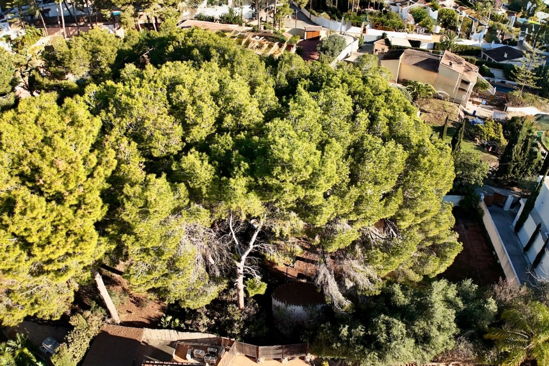 Resales - Plots of Land - Moraira - La Cometa