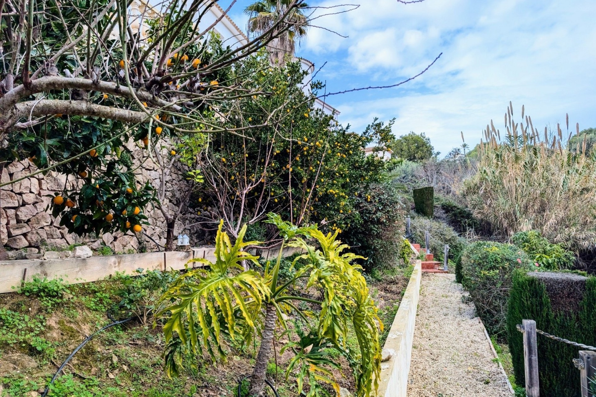 Resales - Villas - Benissa - Fanadix