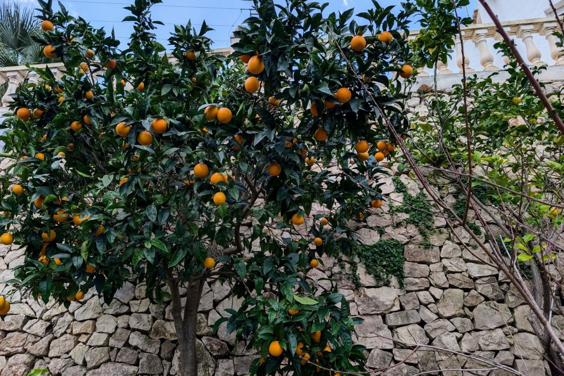 Resales - Villas - Benissa - Fanadix