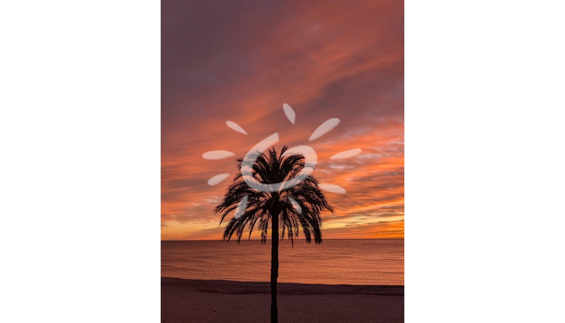 Resales - Apartments - Flats - Altea - Altea ciudad
