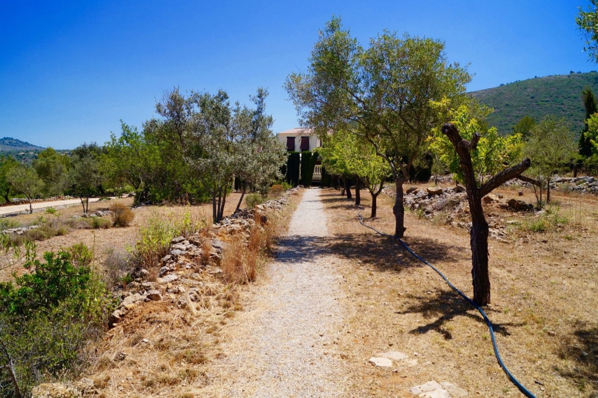 Resales - Country Houses - Fincas - Lliber - Lliber Valley