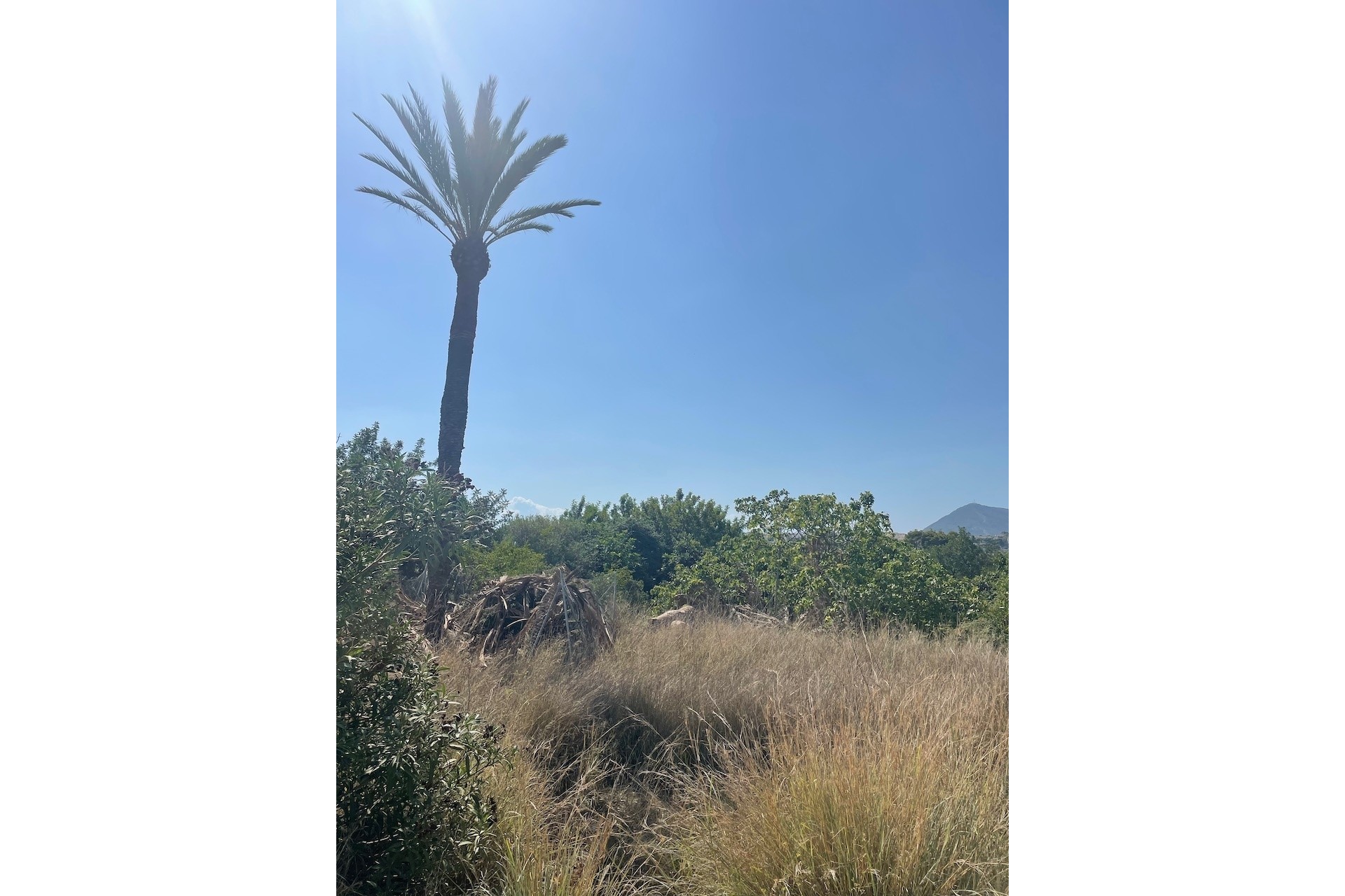 Resales - Plots of Land - Altea