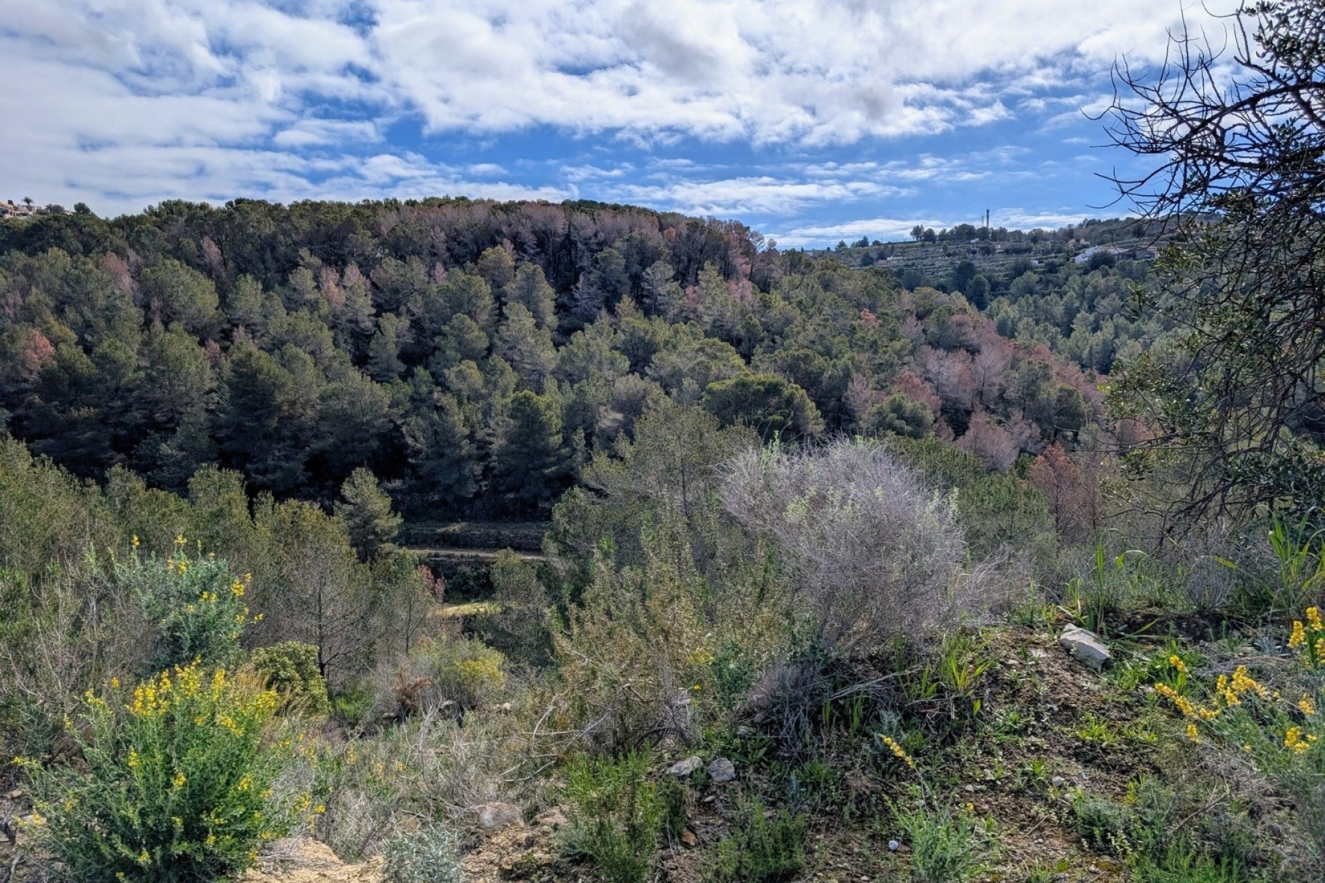 Resales - Plots of Land - Benissa - Partida Biasner