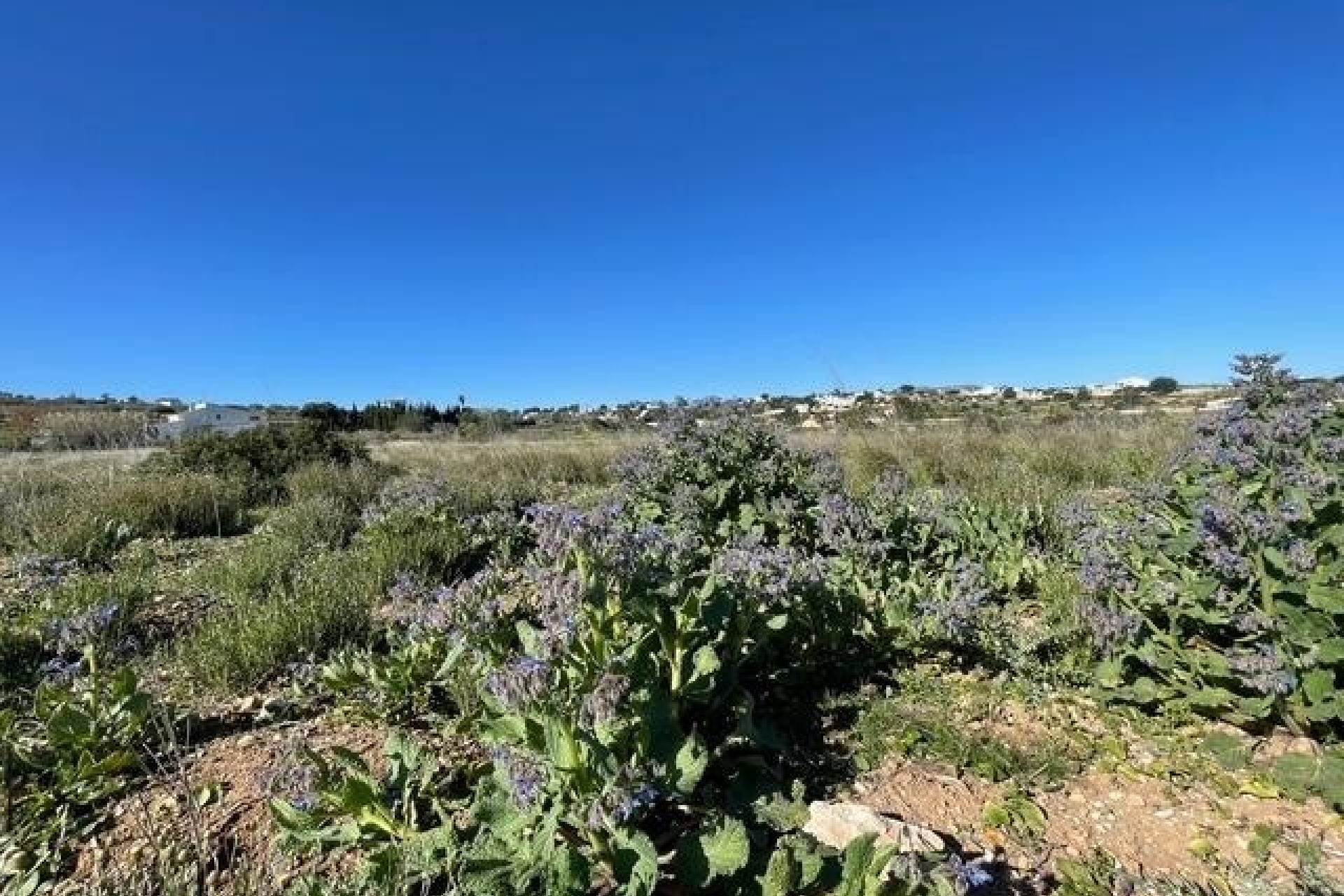 Resales - Plots of Land - Teulada - Teulada Centre