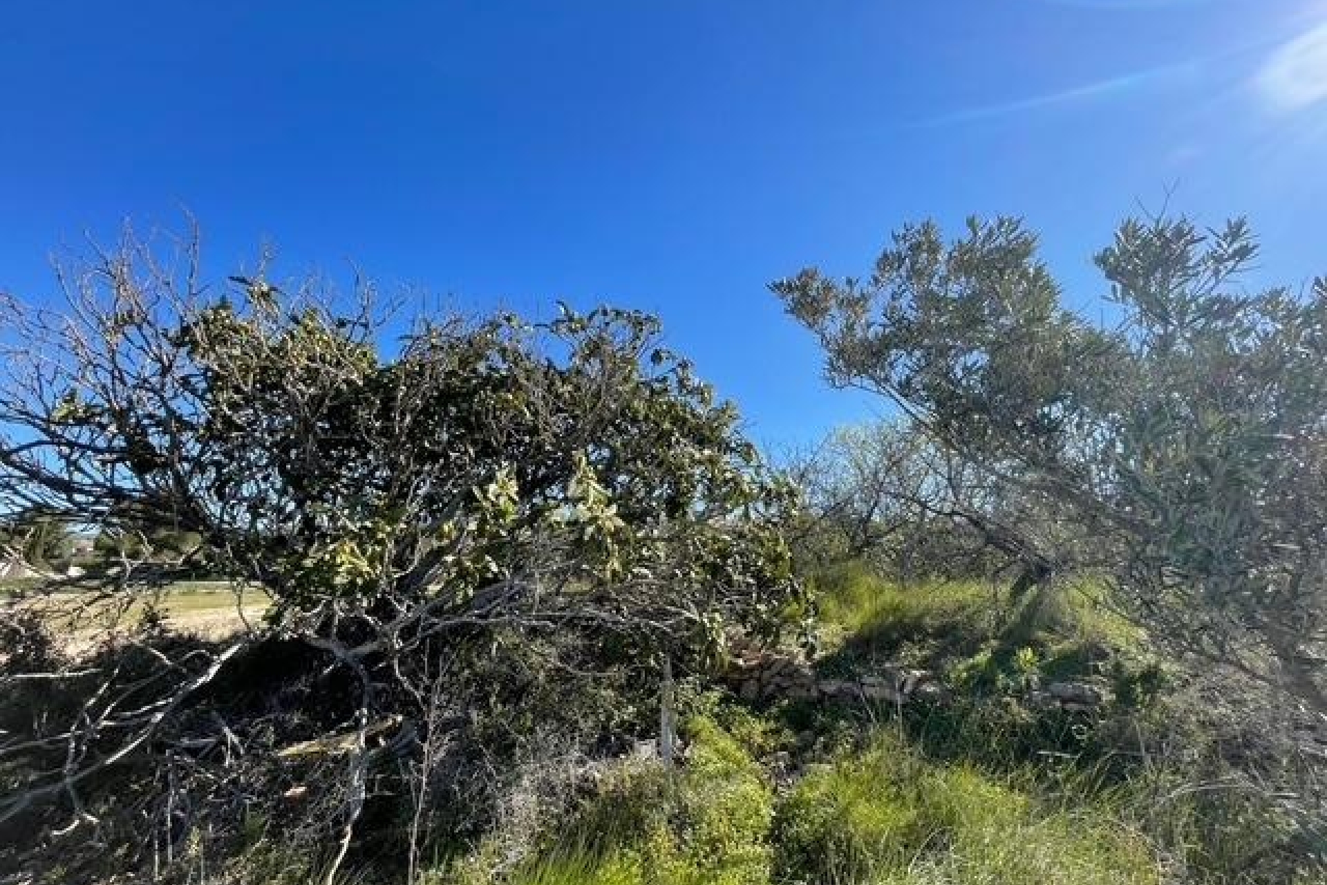 Resales - Plots of Land - Teulada - Teulada Centre