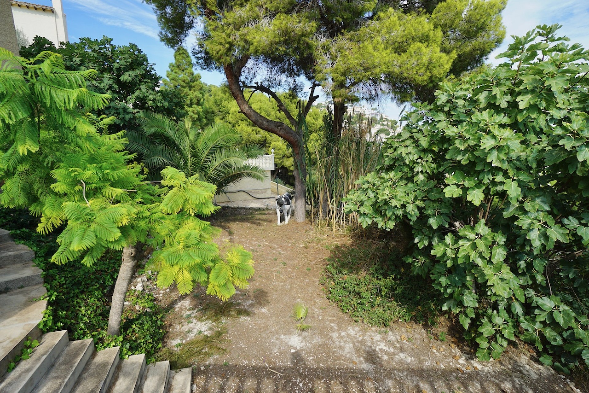 Resales - Villas - Moraira - Benimeit