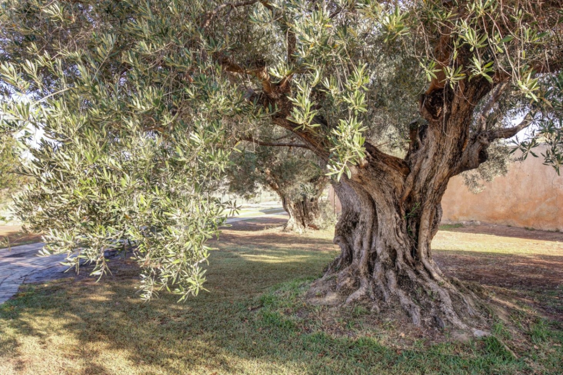 Resales - Country Houses - Fincas - Moraira - campo