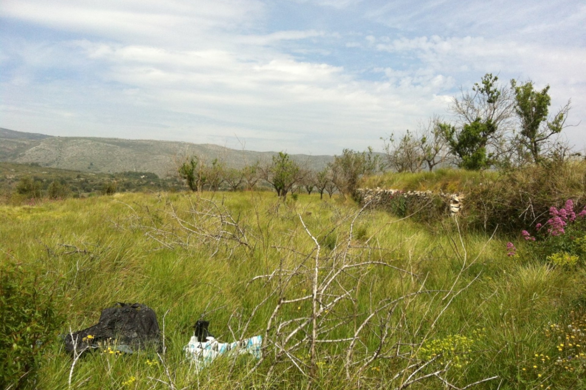 Reventas - Parcelas y Terrenos - Benissa - Partida Berdica