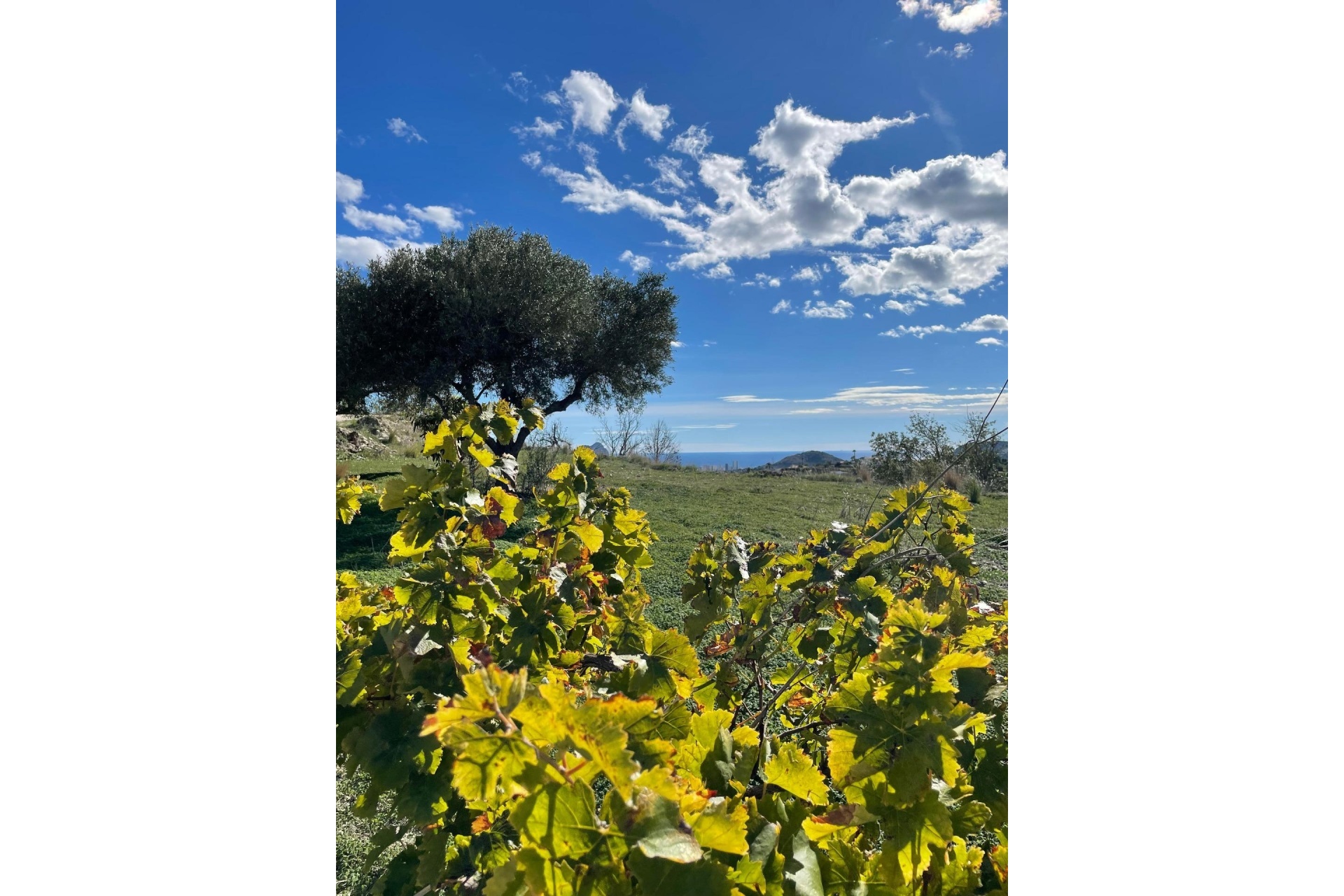 Reventas - Fincas - Casitas de Campo - Benissa