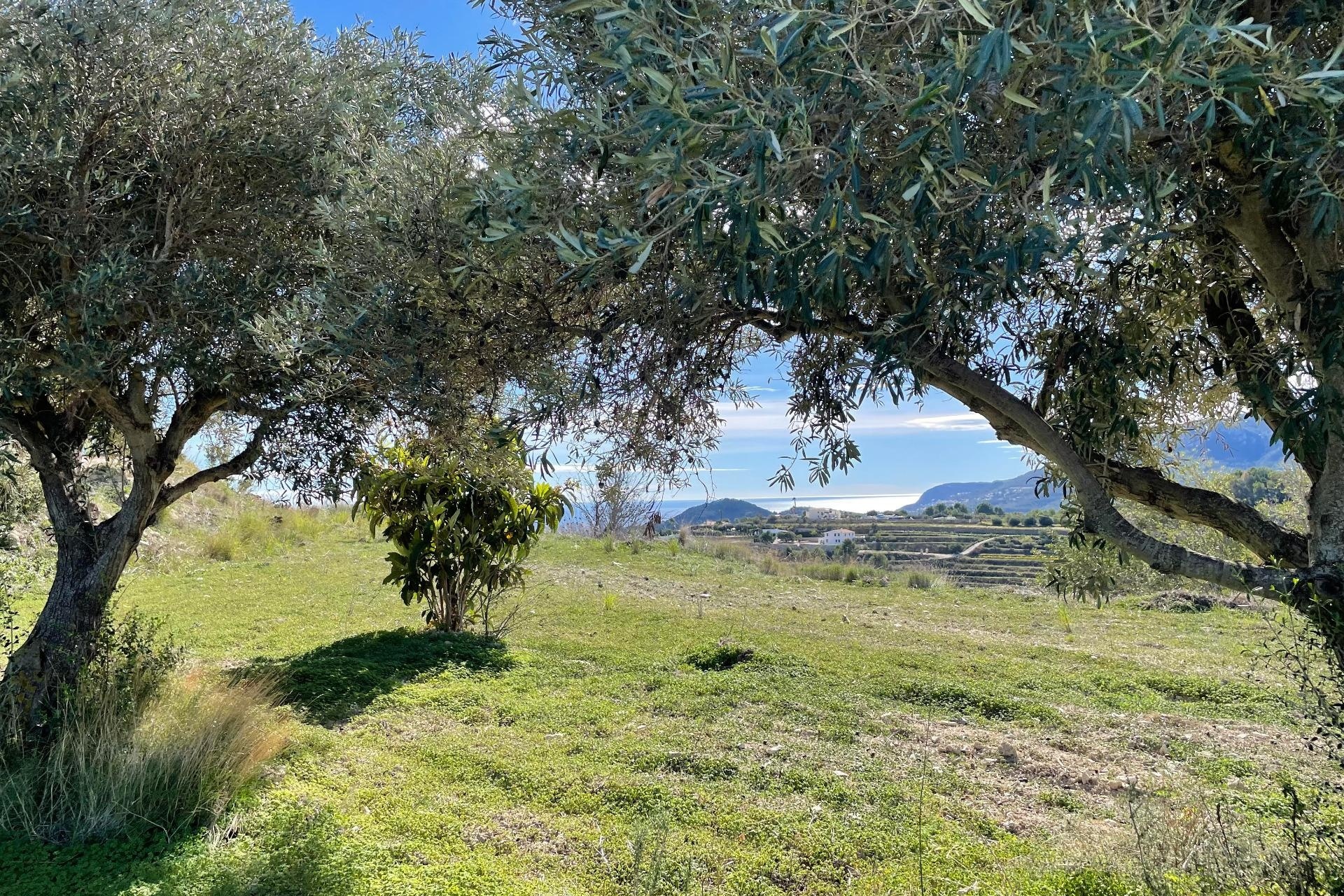 Reventas - Fincas - Casitas de Campo - Benissa