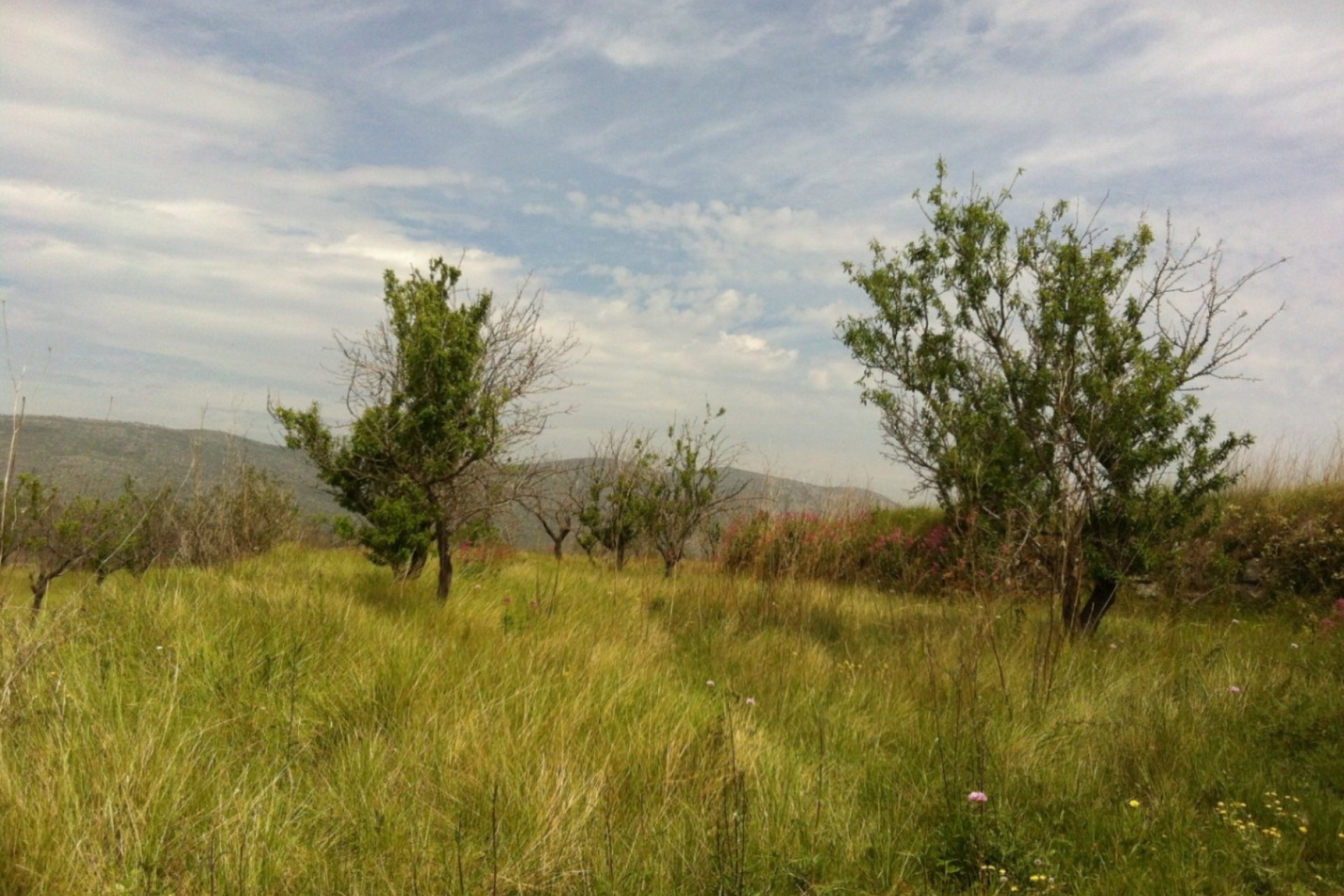 Reventas - Parcelas y Terrenos - Benissa - Partida Berdica