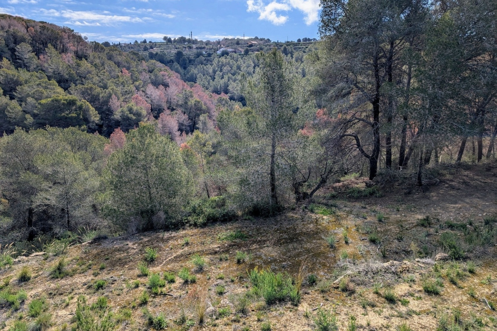 Reventas - Parcelas y Terrenos - Benissa - Partida Biasner