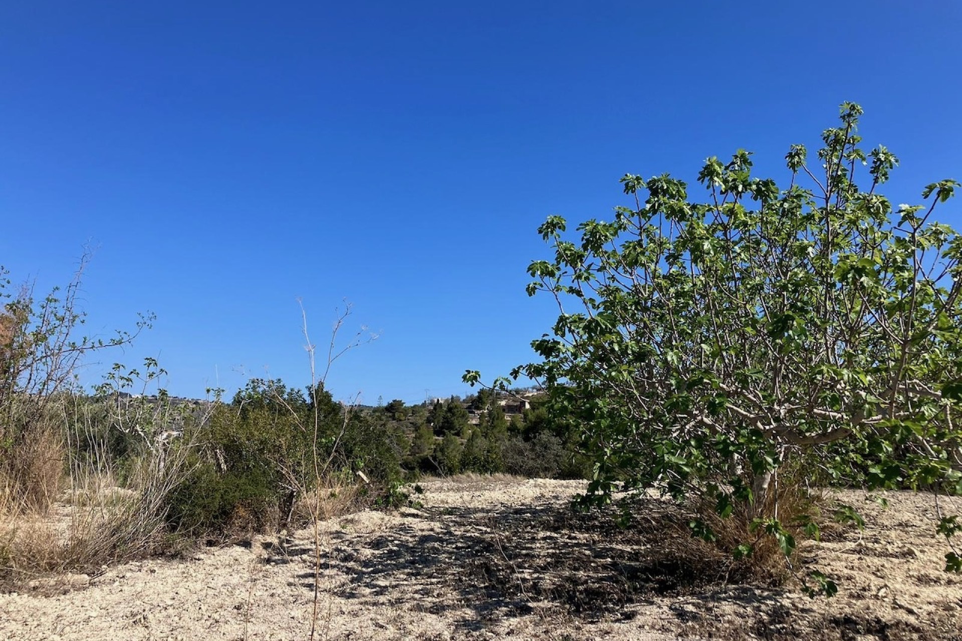 Reventas - Parcelas y Terrenos - Benissa
