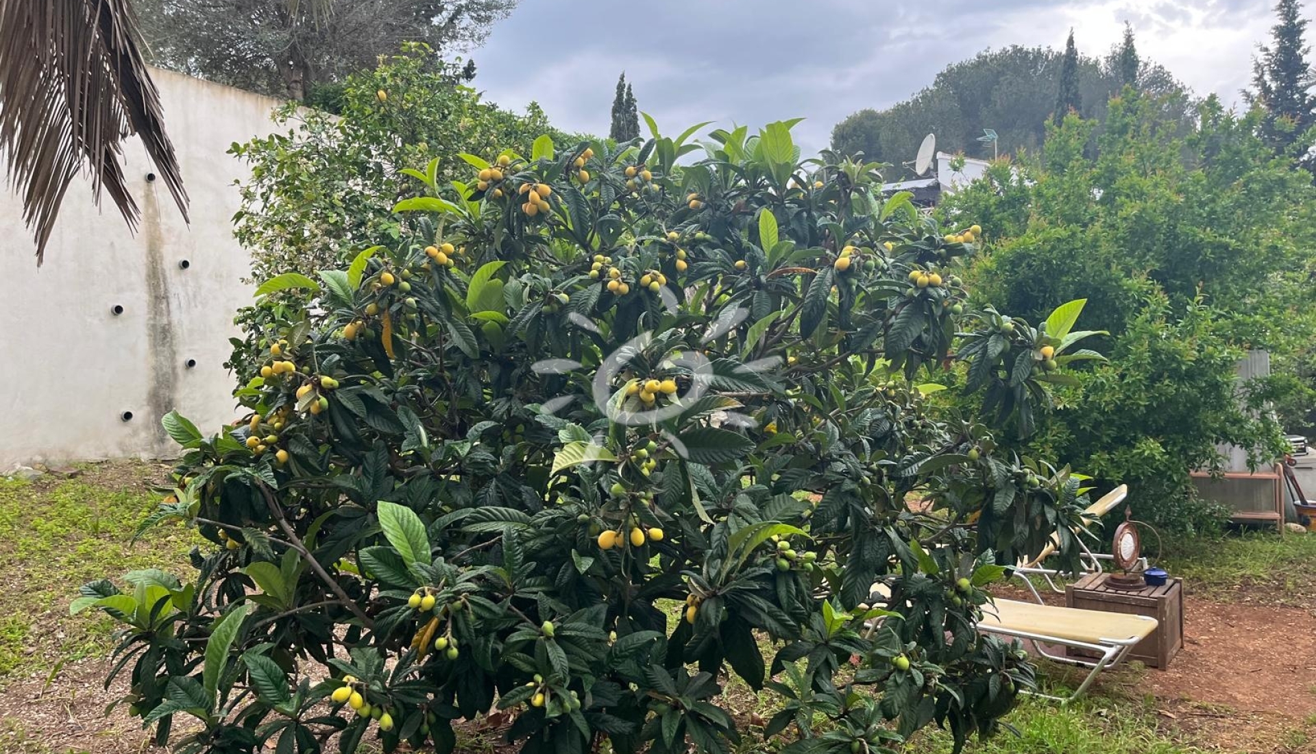 Reventas - Villas - Chalets - Jávea / Xàbia - Cap Martí - El Tossalet - Pinomar